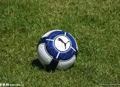 那不勒斯官,方宣布,世界杯新星,SABA沙巴体育,沙巴体育官网,沙巴体育平台,沙巴体育官网入口