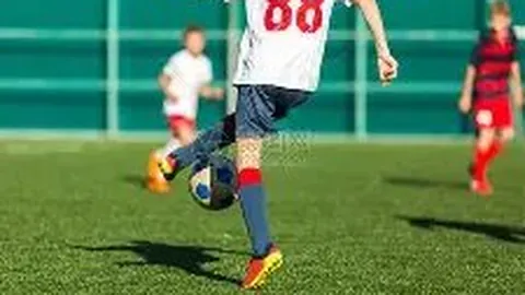 沙巴体育官网 产品 143353 l3w